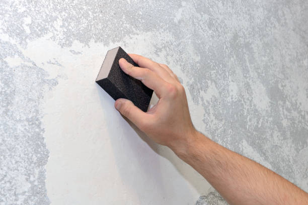 Best Airborne Mold Testing  in Mount Vernon, IN