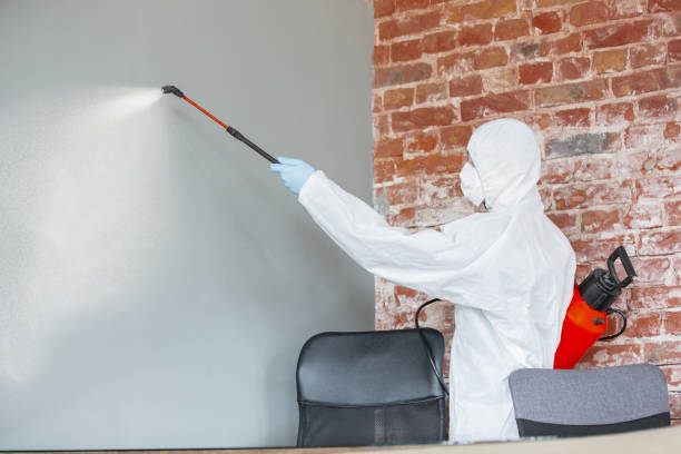 Best Comprehensive Air Testing for Mold Contaminants  in Mount Vernon, IN