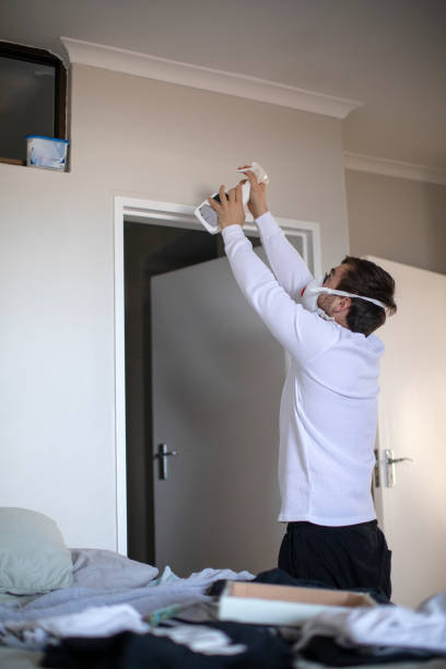Best Commercial Mold Inspection  in Mount Vernon, IN